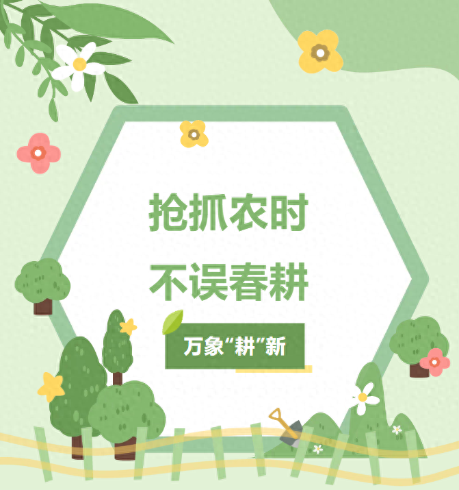 不负春光！北方海南绘就最美春耕图
