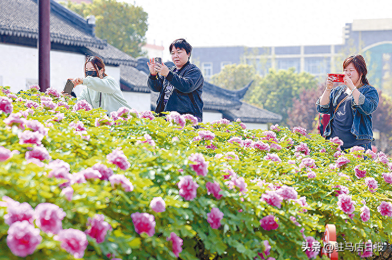清明假期 汝南文旅市场“多点开花”