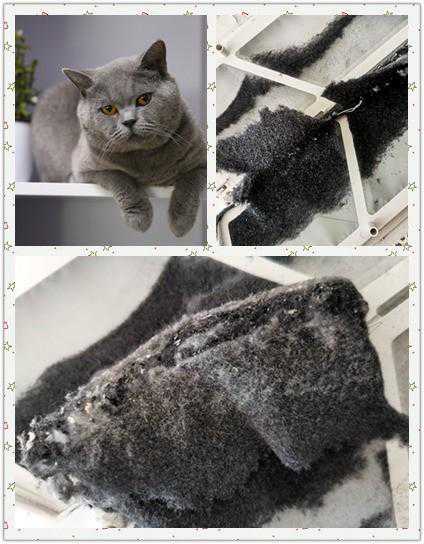 湿式球磨机