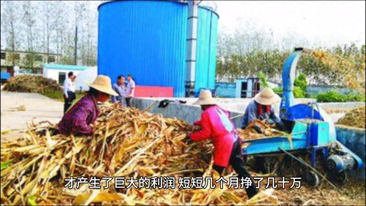这个冷门，五个月能挣四十万，你也能干！#秸秆粉碎机