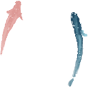 “機”之释义|《中华传统五德修身文化·信》