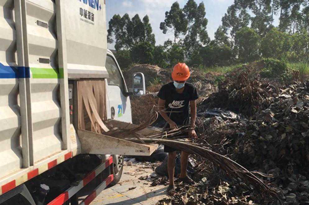 碎木头的机器要多少钱？如何选择适合您的树木粉碎机？