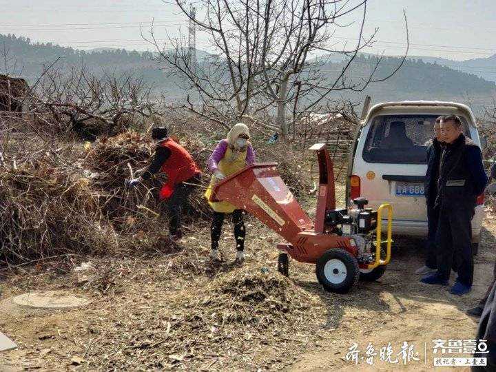济南南山有个硬核“粉碎机”，桃树枝“变身”有机肥