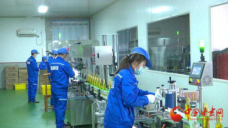 靖远：首条文冠果全自动榨油生产线投产