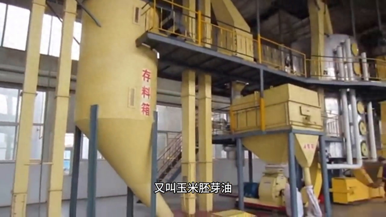 玉米油加工机器 玉米油压榨机械 精炼玉米油设备