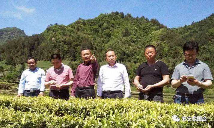 倒春寒气象指标及等级划分