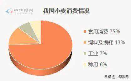 世界最大面粉企业在中国！细说我国面粉加工行业