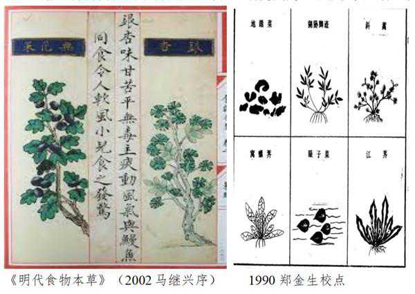 海外中国医疗史︱梁其姿：全球视野下的中国医学史研究