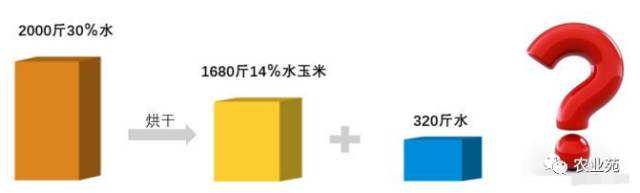 「提个醒」烘干塔内幕多！要卖粮的朋友注意了