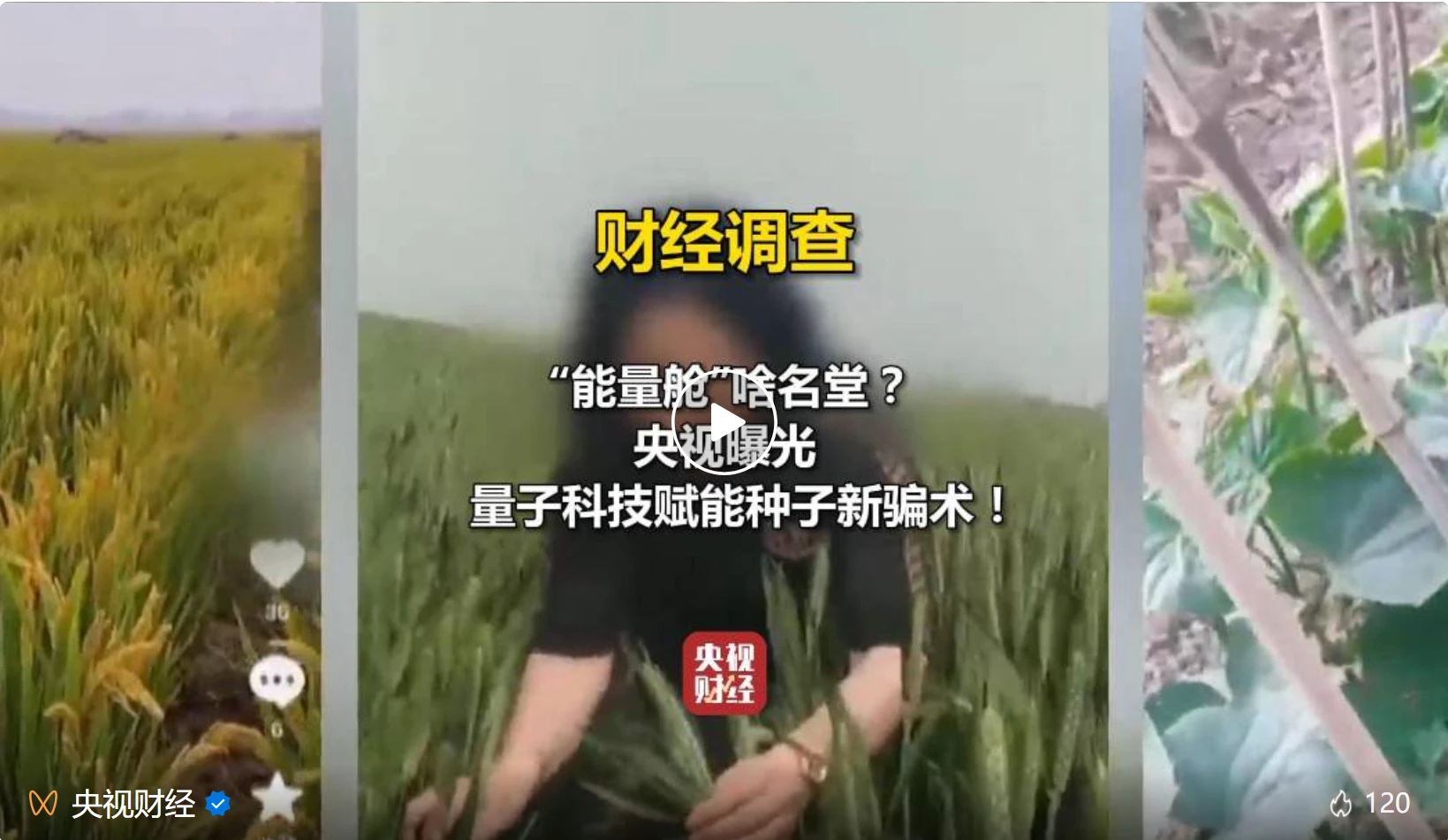央视打假！用量子科技种地？