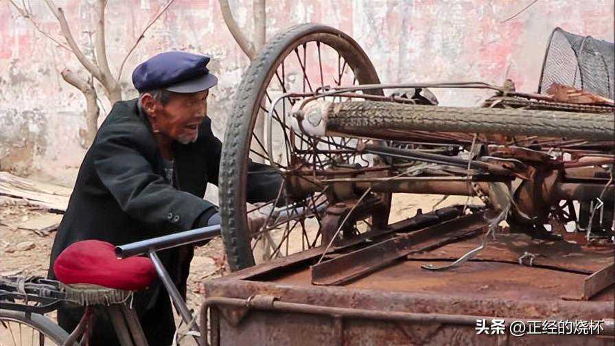农村常见的果木“垃圾”，如今能卖600元1吨，它能变废为宝？