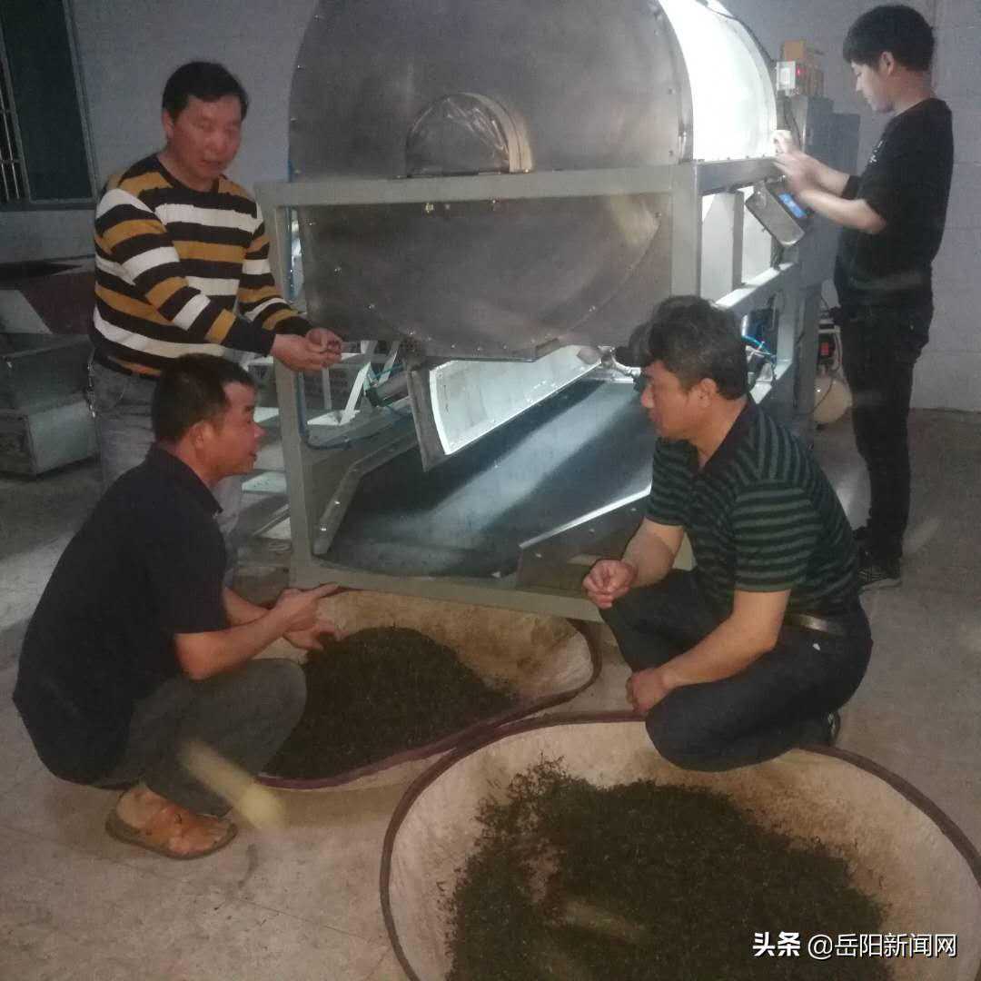 新技术传承老工艺 ——中国首批智能茶叶闷黄机在岳阳投入生产
