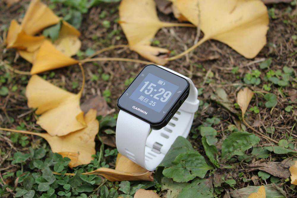 简单好用，光学心率跑表Garmin Forerunner 35
