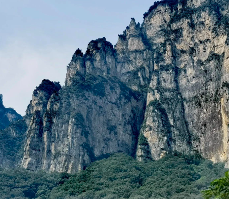 沥青搅拌设备采购项目中标结果公告
